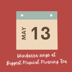 ☕️🍪 BIGGEST MORNING TEA - WINDARRA & THE HUMMINGBIRDS 🍰🫖